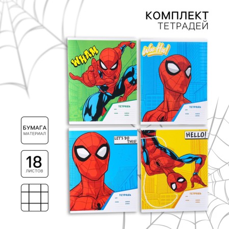 A set of notebooks is 20 pieces, 18 sheets, in a cage, covered paper cover, spider-man