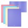 Folder on 2 rings A4, Erichkrause Matt Pastel, 24 mm, 600 μm, matte pastel, 4 types, mix