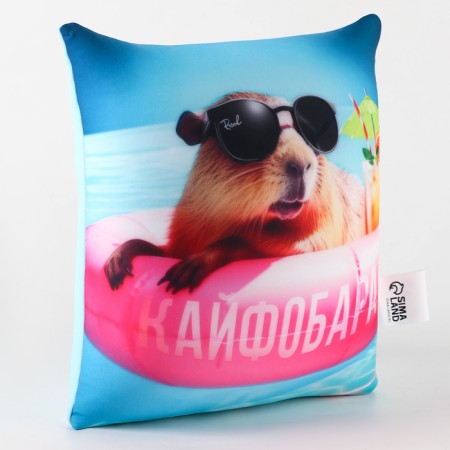 Antistress Pillow "Kaifobara"-3