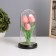 Nightlight "tulips" LED 3HAAA pink 10.5x10.5x22cm
