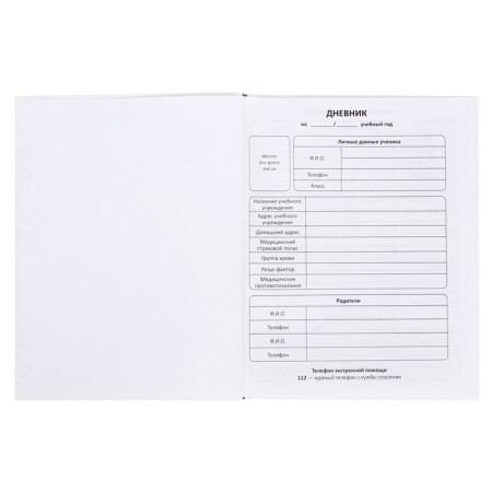 Diary of a solid cover 1-11 grade 48 sheets, "space cat", cardboard cover 7BC, matte lamination, selective UV-fluid, cheat sheet-4
