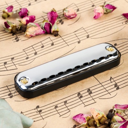 Music Life T10-1 C BLACK DIATONICAL HALLLY, 10 holes, with case-2