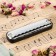 Music Life T10-1 C BLACK DIATONICAL HALLLY, 10 holes, with case