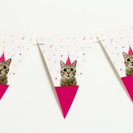 Гирлянда «Котик»-2