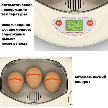 Incubator, 3 eggs, automatic coup, 220 V, with ovoscope, rcom mini-1