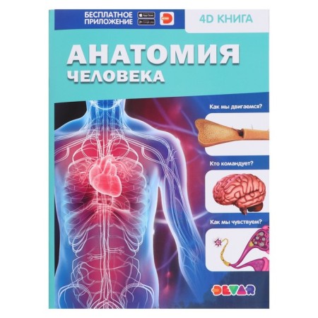 4D encyclopedia in augmented reality "human anatomy", a soft cover
