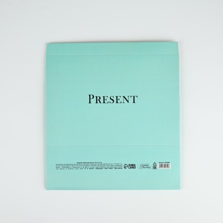 Folding box for flowers with a window Pressent, Tiffany, 16 x 27 x 9 cm-5