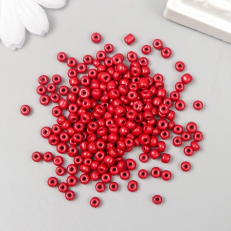 Round beads 6/0 "Dark red" 20 g-1