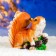 Garden figure "Squirrel on a branch with cones" 14x24x21cm