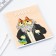 An objective note 48 sheets, A5, Cat, with reference materials “September 1: Chemistry”, cover coated cardboard 230 gr., Inner block in a cage 80 gr., Beliac 96%, block No. 1.