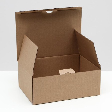 Penal box, brown, 26 x 19 x 10 cm-1