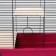 Cage for chinchillas "Pigzon" No. 8 with 2 wooden floors, collapsible, 58x40x48 cm, raspberry