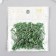 Glass glass 3 "" bright green "metallic set 20 g