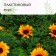 Decorative panel, 60 × 40 cm, “sunflowers”, Greengo