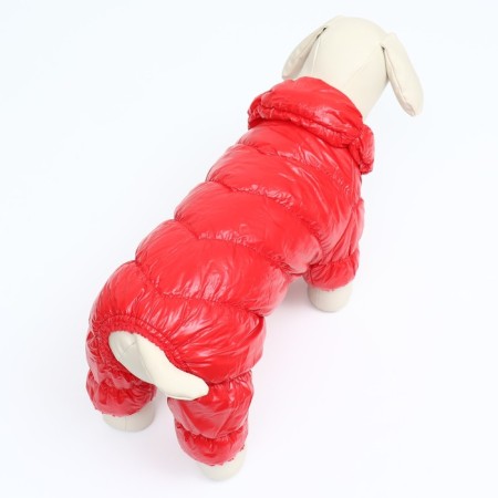 Kombinson "Shine", size M (DS 30 cm, og 40, Osh 27 cm, up to 7 kg), red-3
