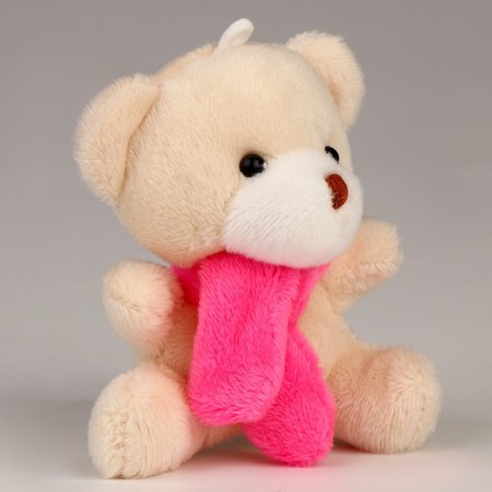 Soft toy in the bag "Bear"-3