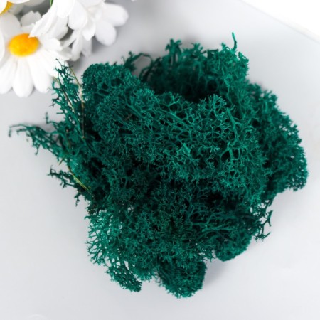 Moss stabilized "sea wave" mix 45 gr (+-5 gr)-3