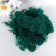 Moss stabilized "sea wave" mix 45 gr (+-5 gr)
