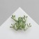 Brooch "Frog" magic, green color in gold