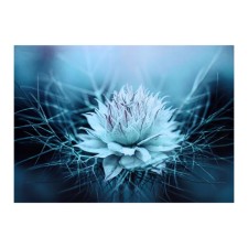 Picture on canvas 