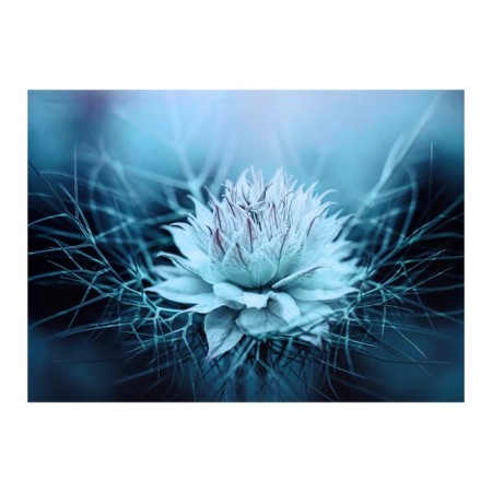 Picture on canvas "White Flower" 50*70 cm