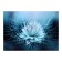 Picture on canvas "White Flower" 50*70 cm