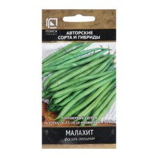 Seeds of beans vegetable 