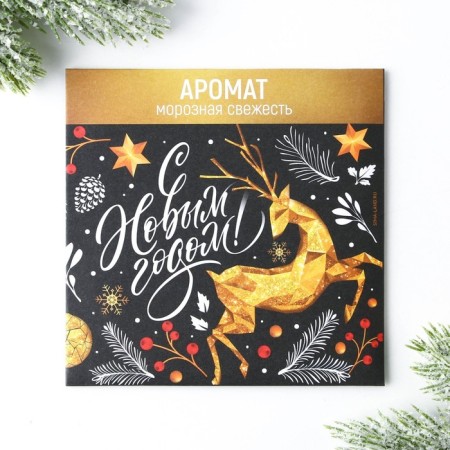 Aromasash in the New Year's envelope, for the New Year, mix, 11 x 11 cm.-6