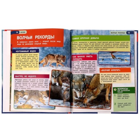 Wolves. Encyclopedia A4. 48 p.-4