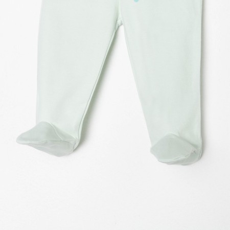 Classes are children, the color is light green, height is 80 cm-1