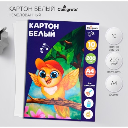 Cardboard White A4 10 sheets, Calligrata, 200 g/m2, non -unilateral, unilateral, in folder
