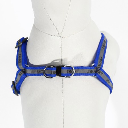 Sports set a reflective, leash 120 x 1 cm, fire 22-39 cm, mix of flowers-6