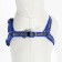 Sports set a reflective, leash 120 x 1 cm, fire 22-39 cm, mix of flowers