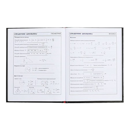 Diary for grades 5-11, 48 sheets "paint", hard cover, glossy lamination, universal cheat sheet, block 65g/m2-10