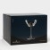 A set of glass glasses "Plin", 170 ml, 4 pcs