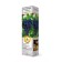 Fruit grapes "Nadezhda Azos", tube, 1 pc, spring 2025