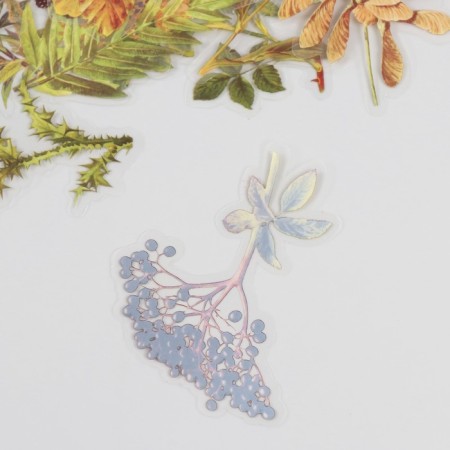 Stickers for creativity PLC PVC "Autumn Garden" set 40 pcs 9x10.5 cm-3