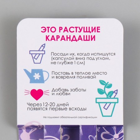 Growing gift pencils Mini "lavender + lilac" set 2 pcs.-2