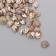 Set of decorative shells "Astra 122" 100 g