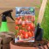 Seeds Tomatus "Neither Cares, Nor Hard", Ultraskoropolny, 20 pcs