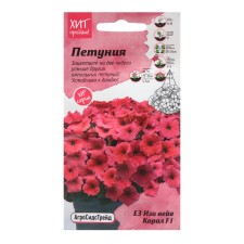Flowers of Petunia 