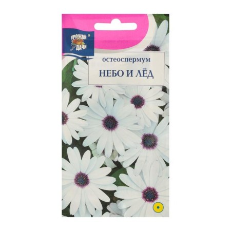 Seeds of flowers osteosoper "sky and ice". 0.1 g-2