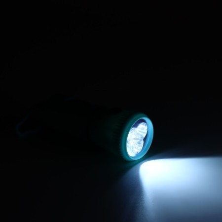 A container with a flashlight, cleaning packages for dogs (roll 15 pcs), blue-8