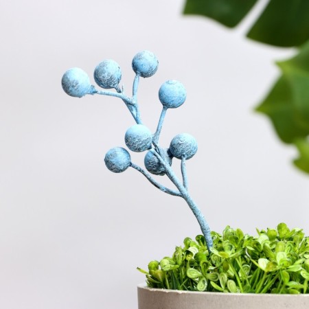 Set of plugs "Berries" 3pcs, blue, 20x4x4cm-1