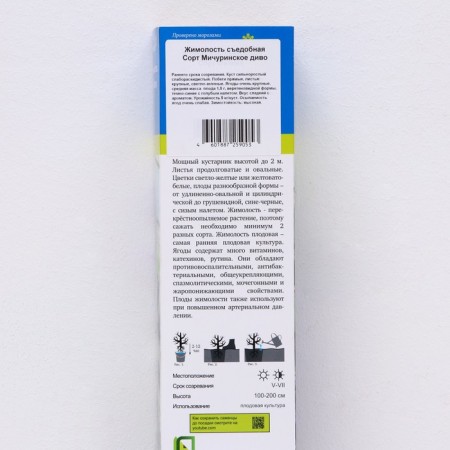 Edible honeysuckle (Northern Garden series) "Michurinskoye marvel", 1 pc, tube, spring 2024-1