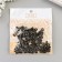 Photo-chanker metal (set 100 pcs) black curly 2x0.9 cm