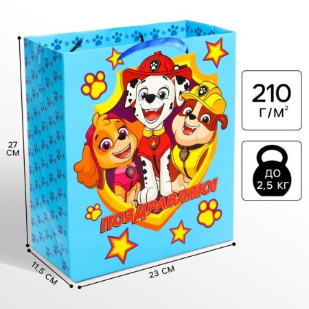 Gift package "Congratulations" 23x27x11.5 cm, packaging, puppy patrol