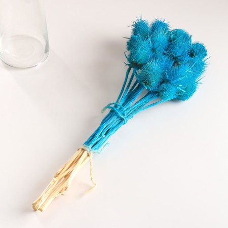 Set of dried flowers "Brush", banch 7-8 pcs, length 50 (+/- 6 cm), bright blue-3