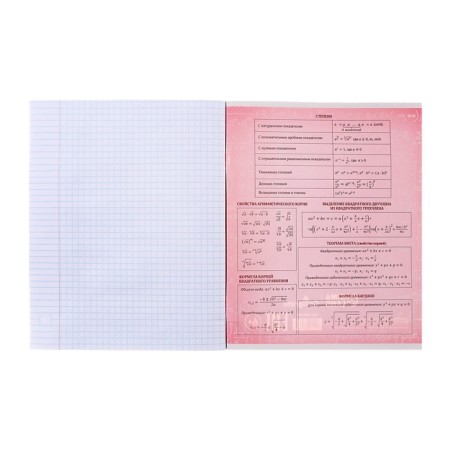 Substantial notebook Calligrata Superneeon, 48 sheets in the algebra cage, with reference material, covered cardboard, OFSET block-5