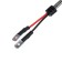 LED lamp DLED H3, C6 Original, 12V, 6500K, in a set 2 pcs